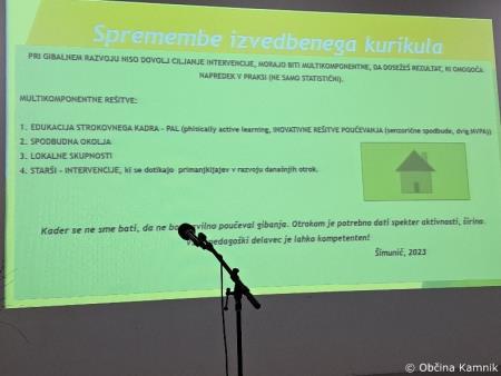 Strokovni posvet na temo Gibanje za zdrave možgane (10)